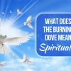 what does the burning dove mean spiritually