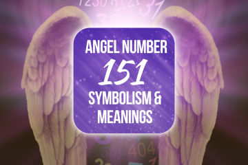 151 angel number