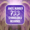 733 angel number
