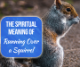 6 Spiritual Meanings Of Running Over A Squirrel