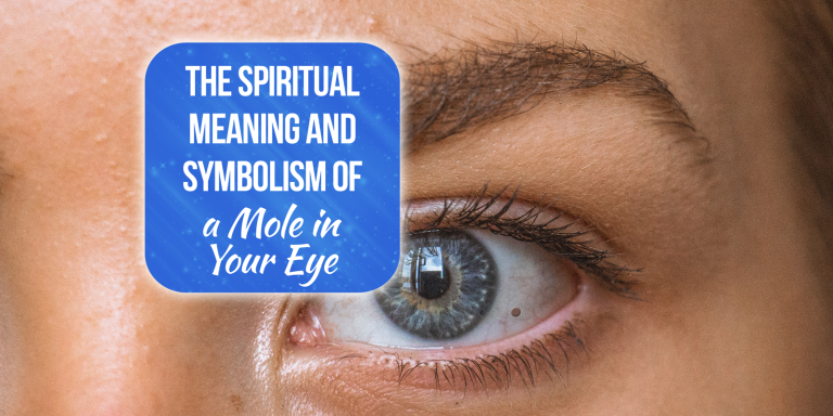 11 Mole in Eye Spiritual Meanings [Explained]