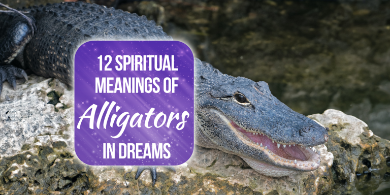 12 Spiritual Meanings Of Alligators In Dreams [Explained]
