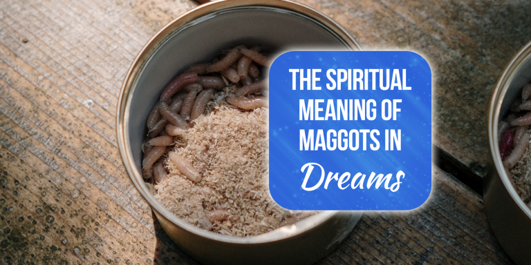 9 Spiritual Meanings Of Maggots In Dreams [Explained]