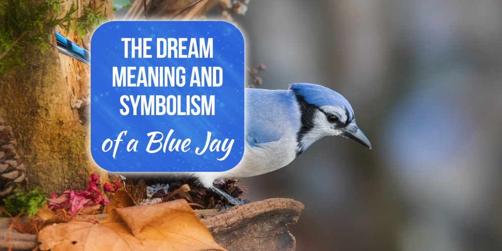 blue jay dream meaning