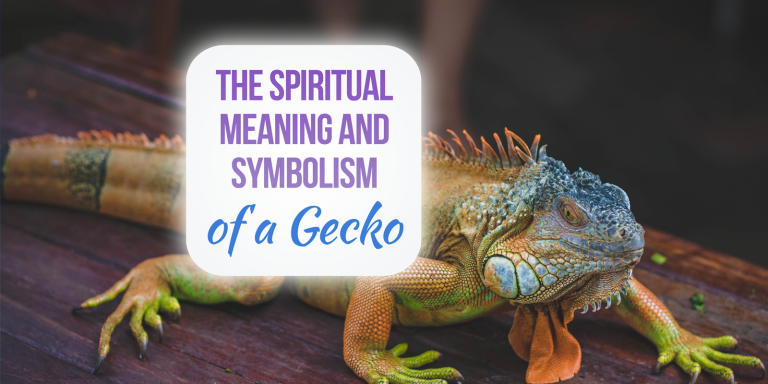 Gecko Spiritual Meaning, Symbolism, and Totem [Must Read!]