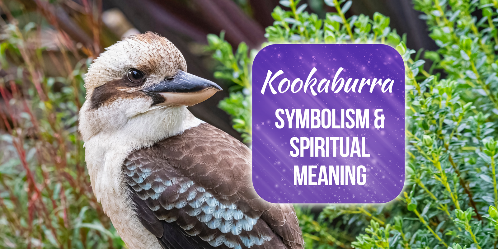 Tabby Cat Spiritual Meaning Symbolism And Totem Must Read Simply