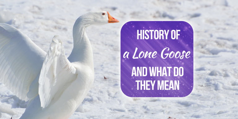Lone Goose Meaning, Symbolism, and Totem [7 Spiritual Meanings]